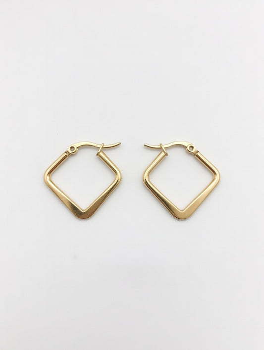 Trendy Square Earrings